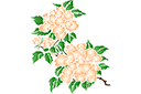 Трафареты цветов - Большие хризантемы А
